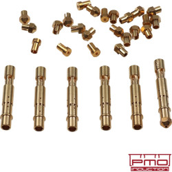 PartzBiz CE 1615152918 - carburettor tune-up kit, 50 mm carburettor