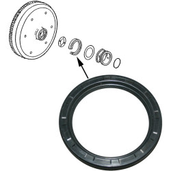 PartzBiz CE 8119500602 - Oil seal for flywheel, silicone