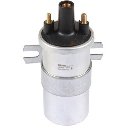 PartzBiz CE 1691600502 - Ignition coil, 12 Volt, silver, Beru ZS565