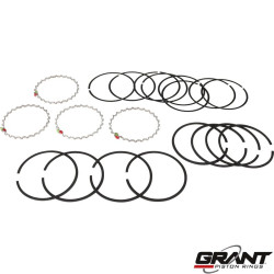 PartzBiz CE 8110301818 - Piston ring set, 90.5 mm, 2.0x2.0x4.8