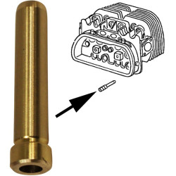 PartzBiz CE 8111351006 - Valve guide, exhaust, 8 mm